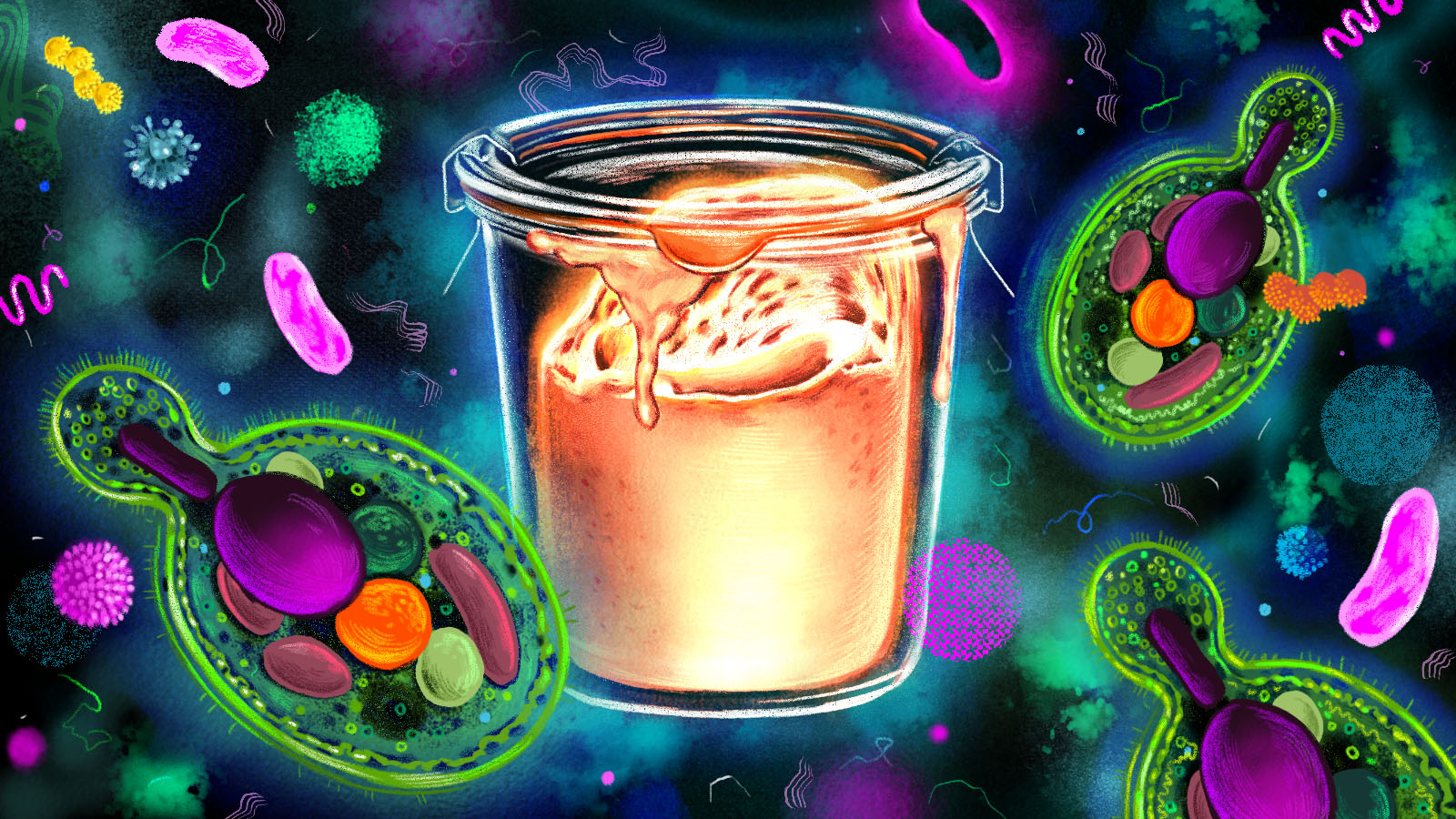 A glass jar of sourdough starter, surrounded by glowing, multicolored microbes. Illustration.